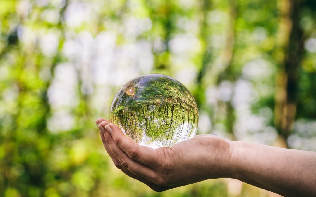 Desempeño Ambiental e Informes de Sostenibilidad: El papel de la transparencia y la comunicación en la mejora de la imagen corporativa y compromiso ambiental