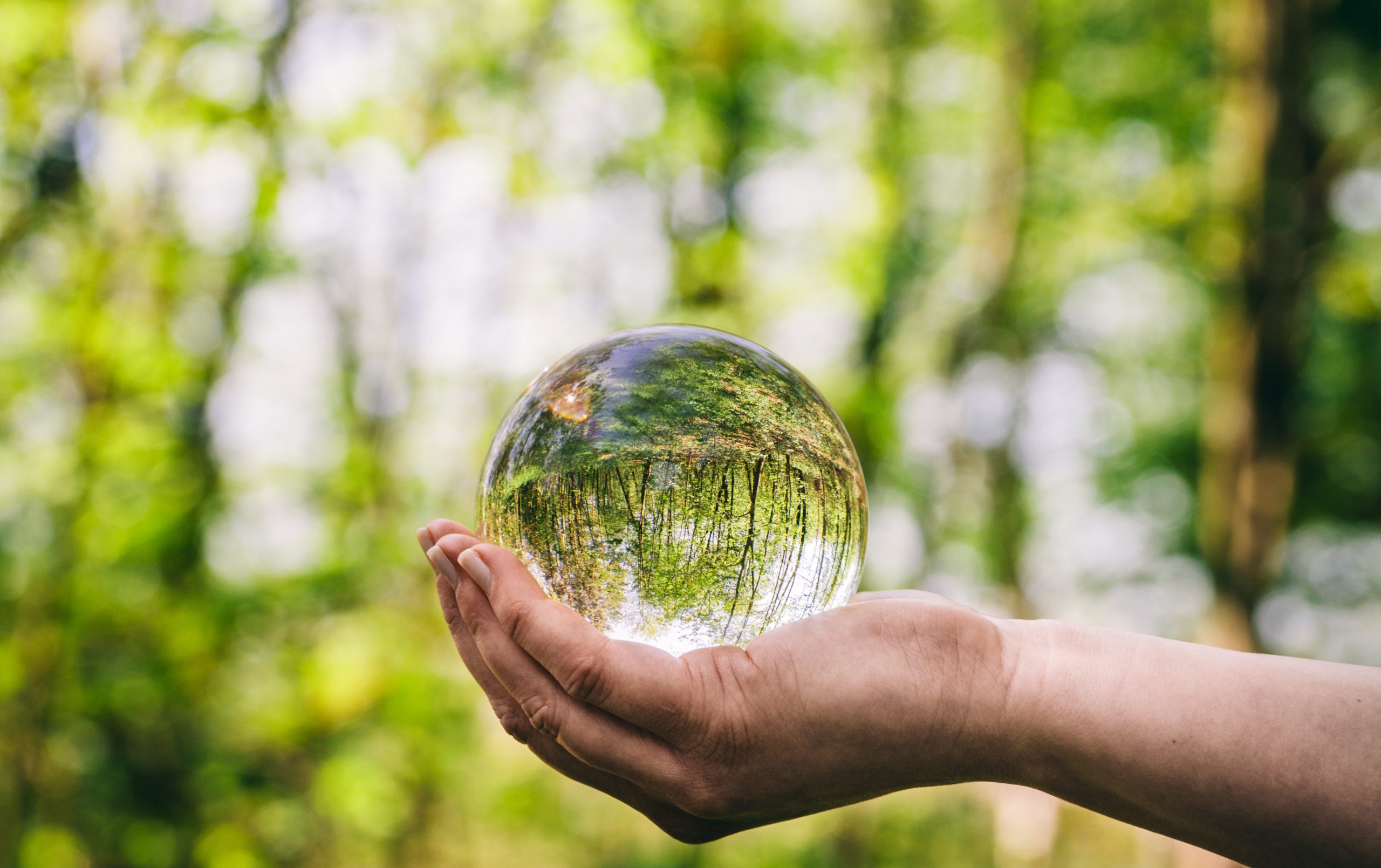 environment image - glass sphere in nature