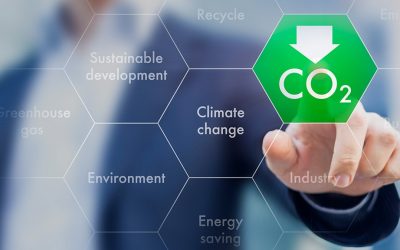 Reducing the Carbon Footprint in the Chemical Industry
