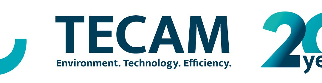 Tecam 20th Anniversary logo